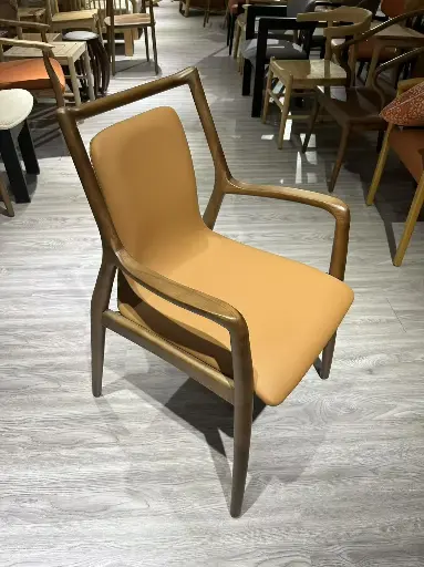 Outdoor Cafe Furniture Modern Restaurant Dining Chair Bent Wood Upholstered Cafeteria Chair